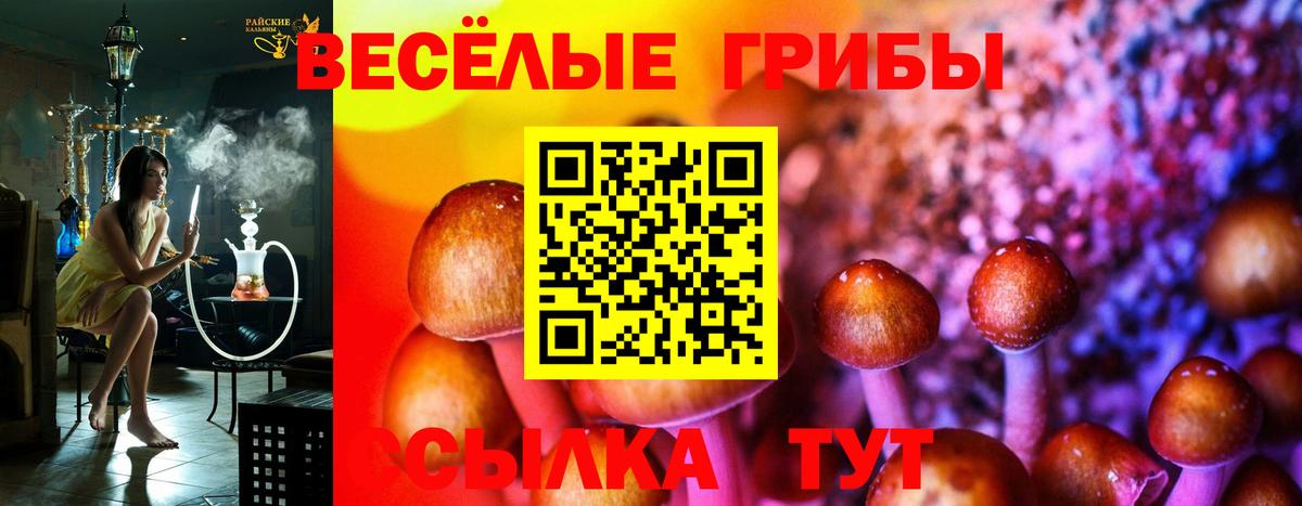 Галлюциногенные грибы Magic Shrooms  Вход с VPN  Сафоново 